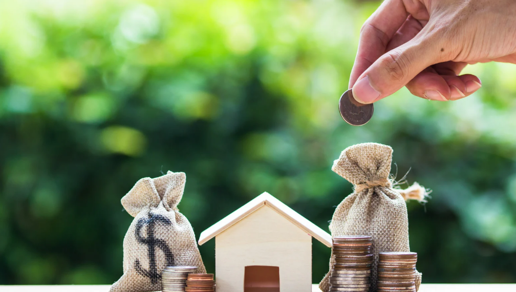 Before You Fall in Love with a House, Do This First.