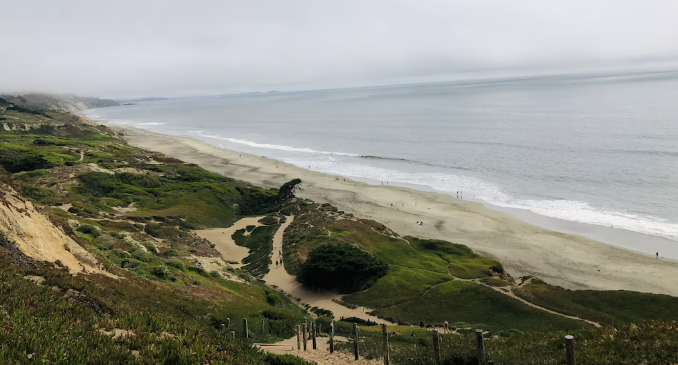 Lakeshore Neighborhood in San Francisco: A Comprehensive Guide for Families and Investors