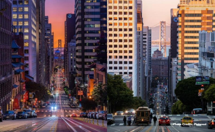 Why Lake Street is a Top Choice for Families and Investors in San Francisco