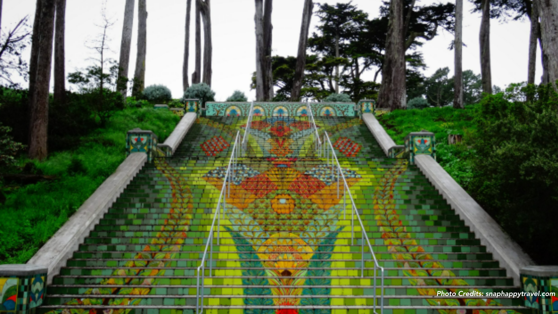 Lincoln Park, San Francisco: The Ultimate Guide for Families and Investors