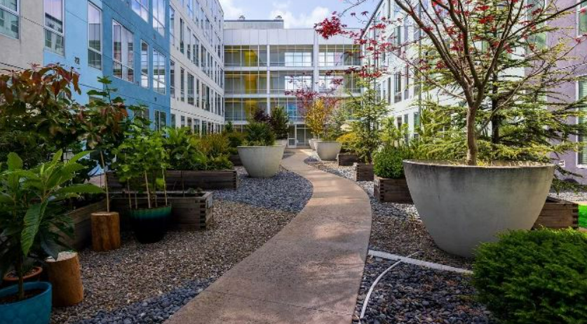 Why 888 Seventh Street in San Francisco is a Great Place for Families and Investors