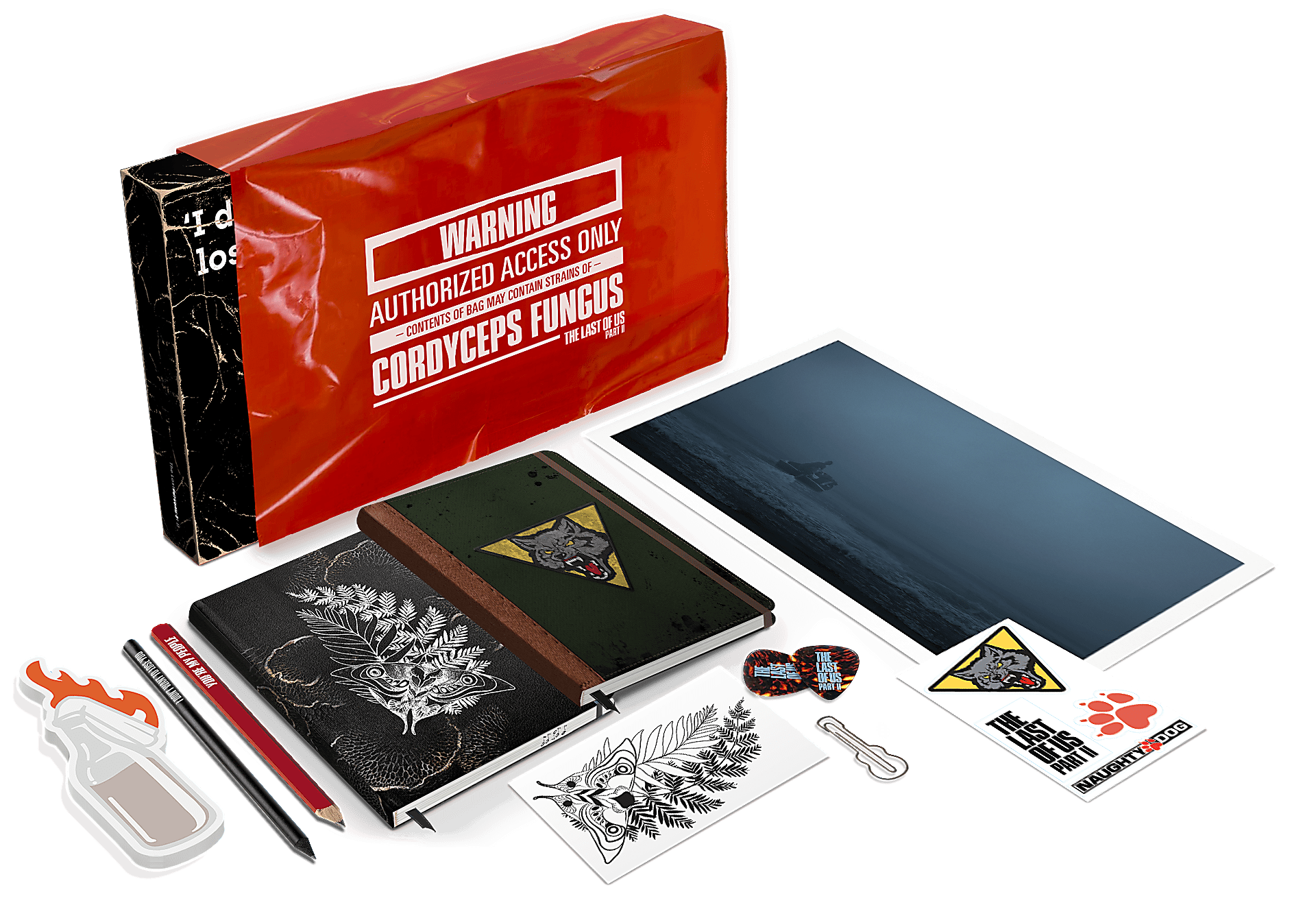 TLOU-2_Box_Notebooks.png