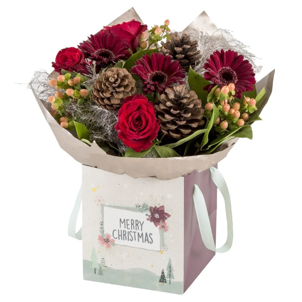 Christmas Gift Bag - Gallert.jpg
