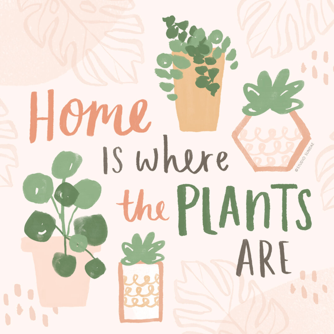 IG_17_HOME IS WHERE THE PLANTS ARE.jpg