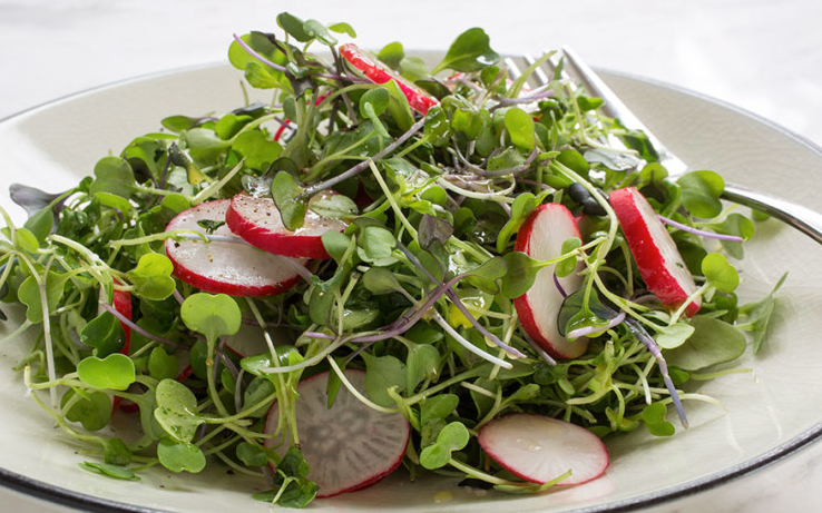Micro-Blend Salad
