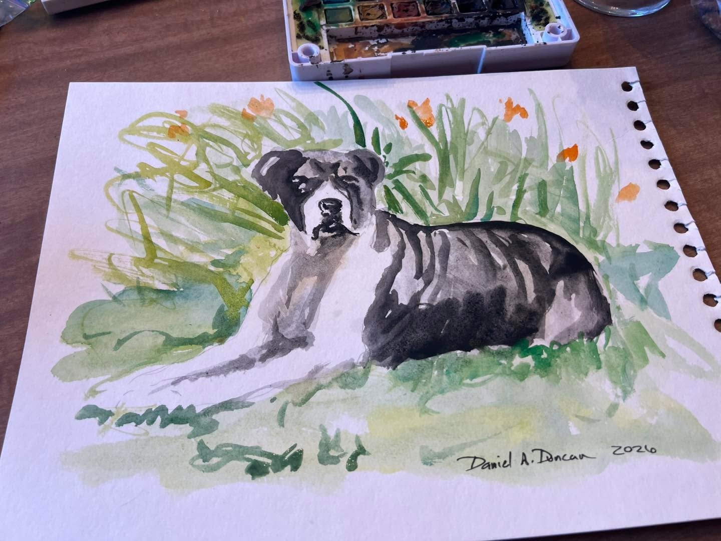 Maggie 🐾 
Charlevoix Area Humane Society