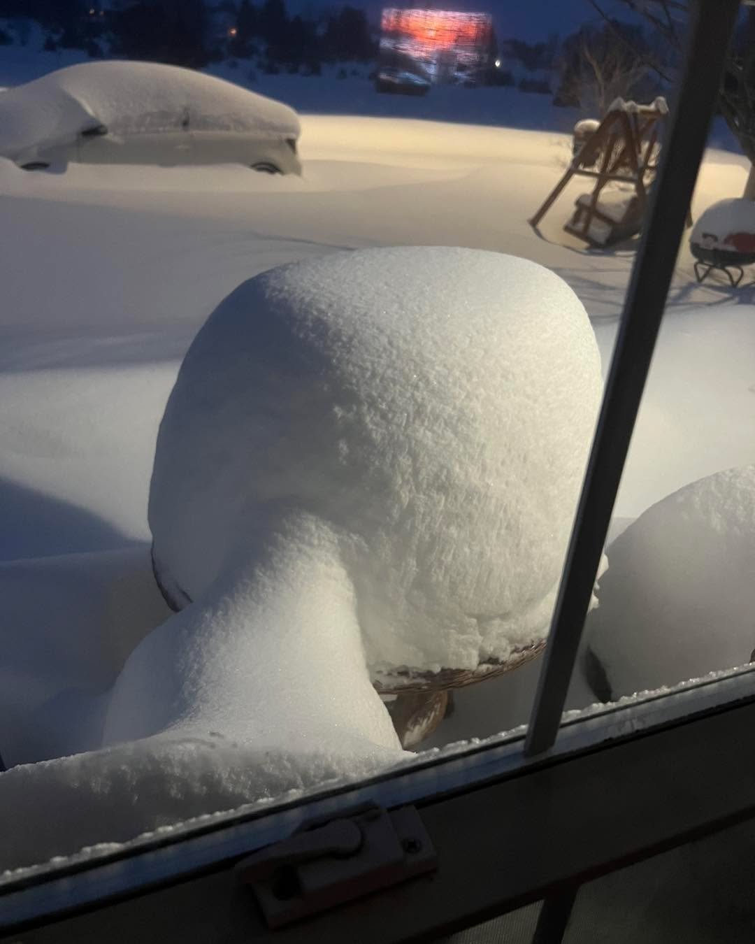 That table on the porch was completely clear just a few days ago. All lessons are canceled for today some will be tomorrow so we can participate in the events. Time to shovel. Stay in and watch for more snowy/art fun! ❄️ 🎨 😆