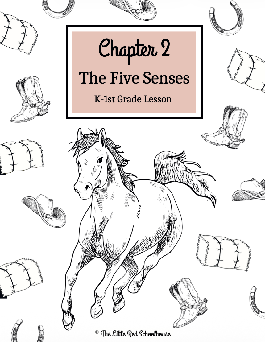 Horse Study Journal- Chapter 2: K-1st Grade