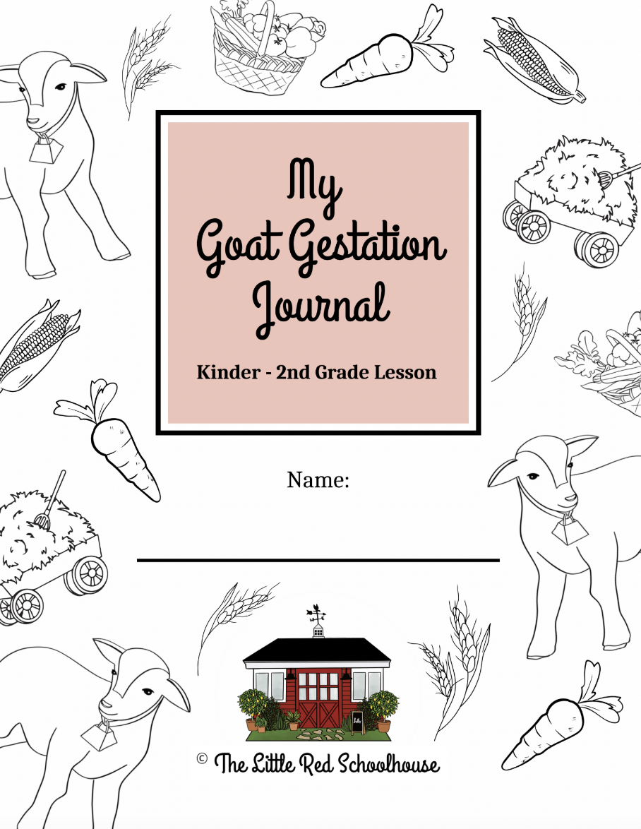 Goat Gestation Journal (K-2nd)