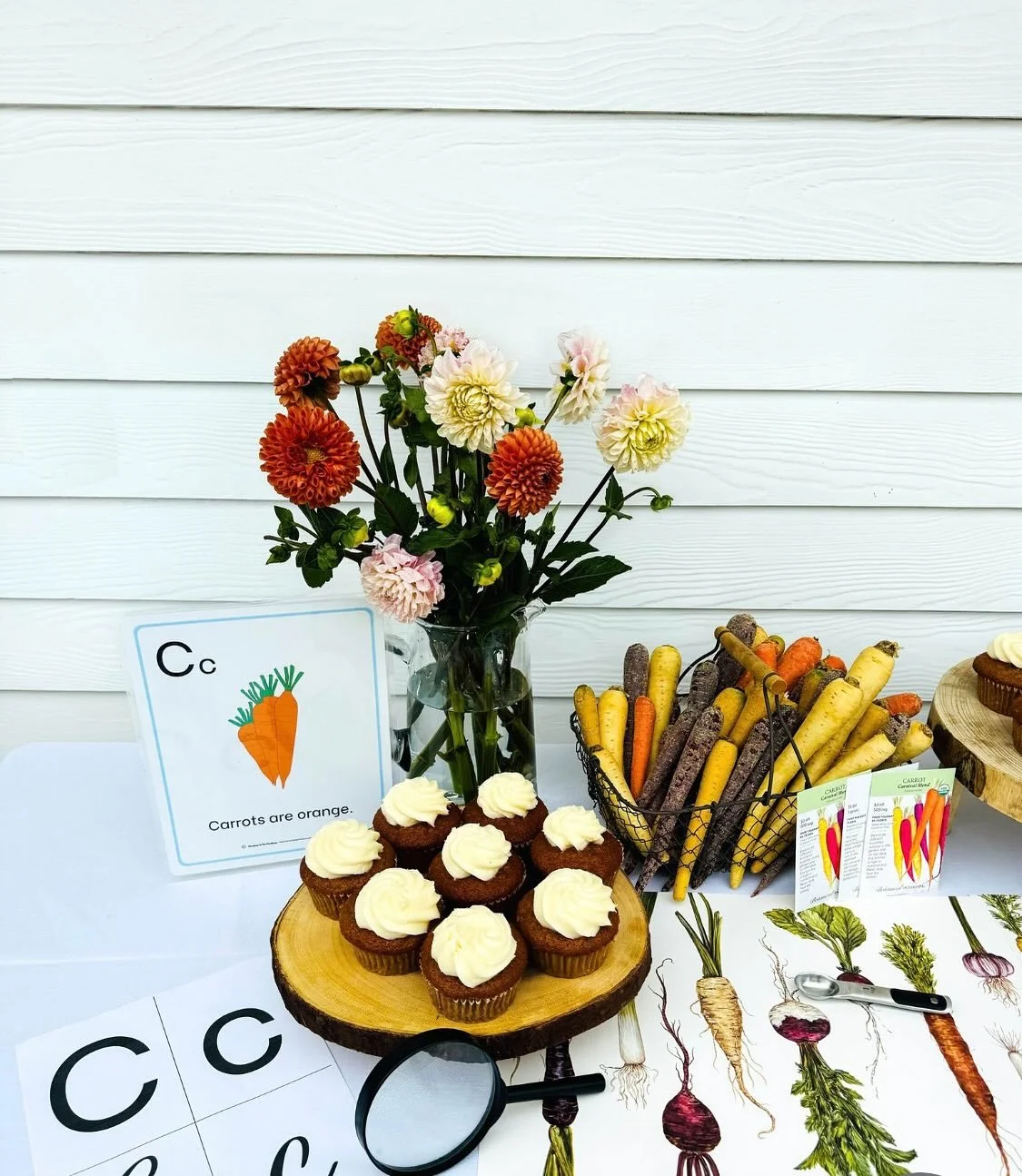 Hi mamas, 
Another wonderful Carrot Study with all our students! 

Reading, writing, and learning all about carrots! 
❤️🥕

#carrotstudy
#friendship
#homeschool
#Charterschools
#farmschool
#farmlife
#backyardfarm
#read #write #learn
#handsonlearning
