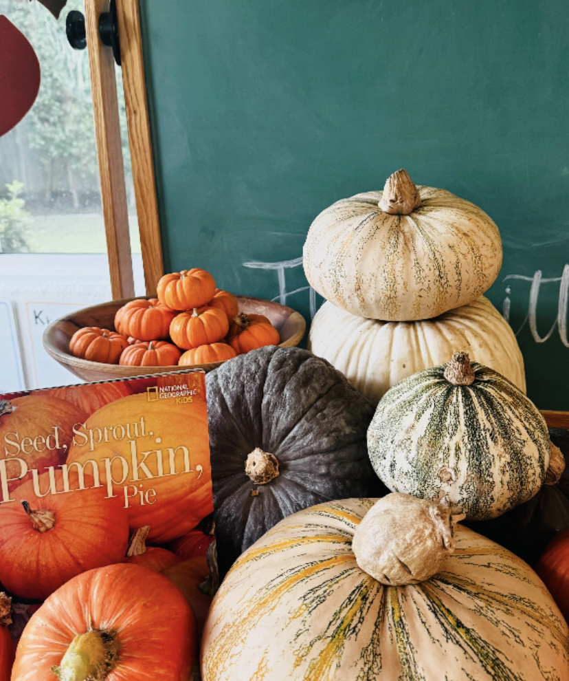 "P" Is For Pumpkin!