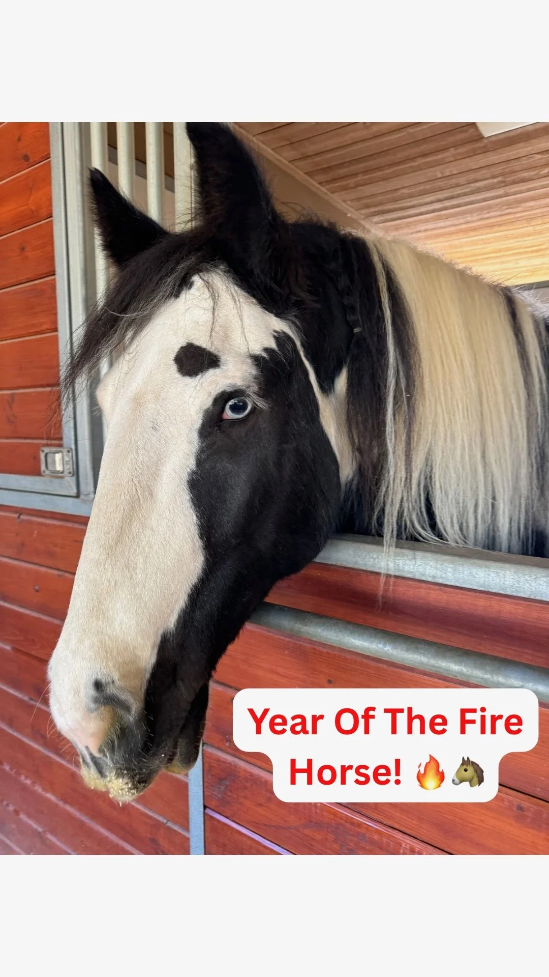 Lunar New Years 2026 