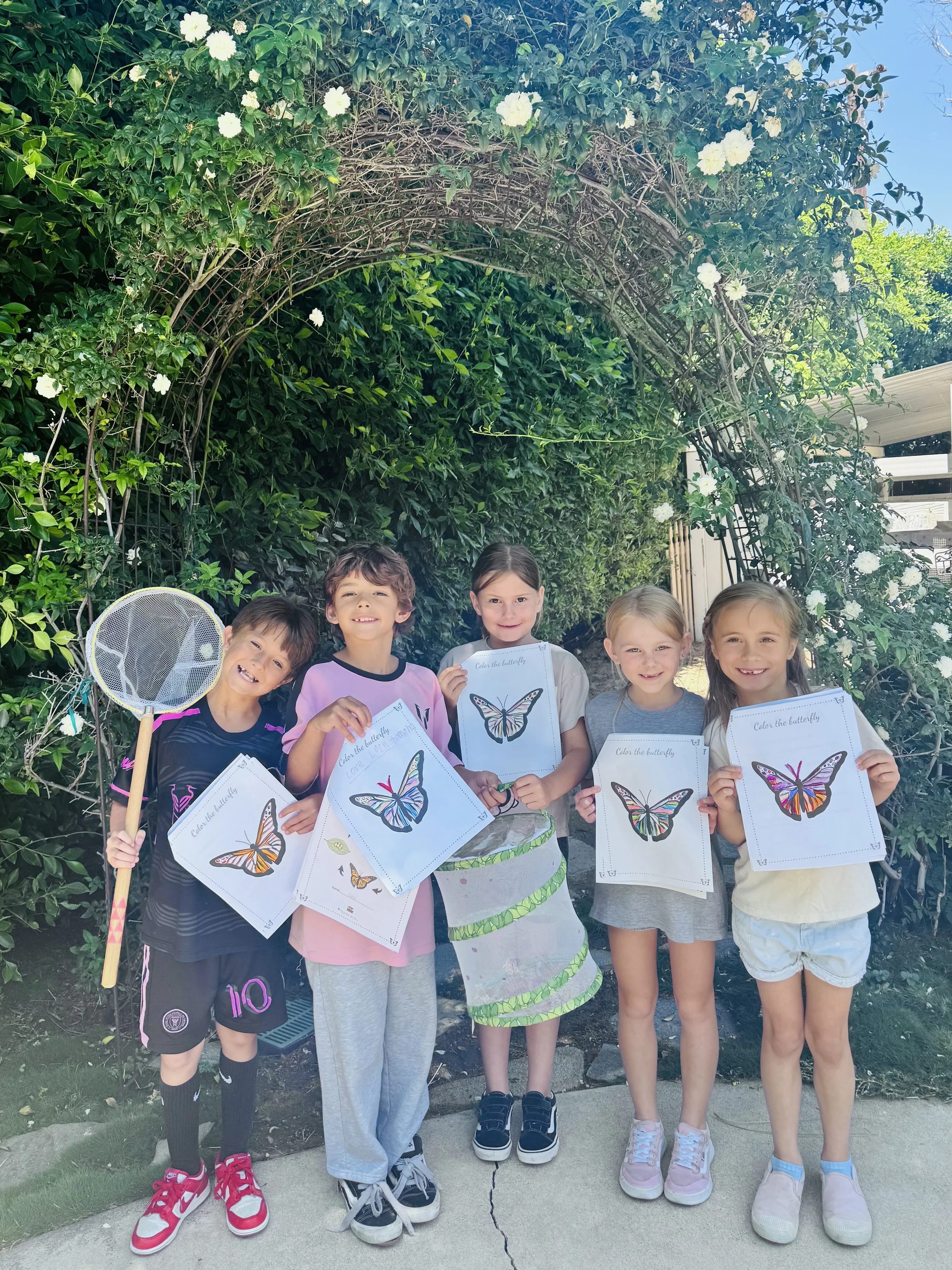 Butterfly Life Cycle 
