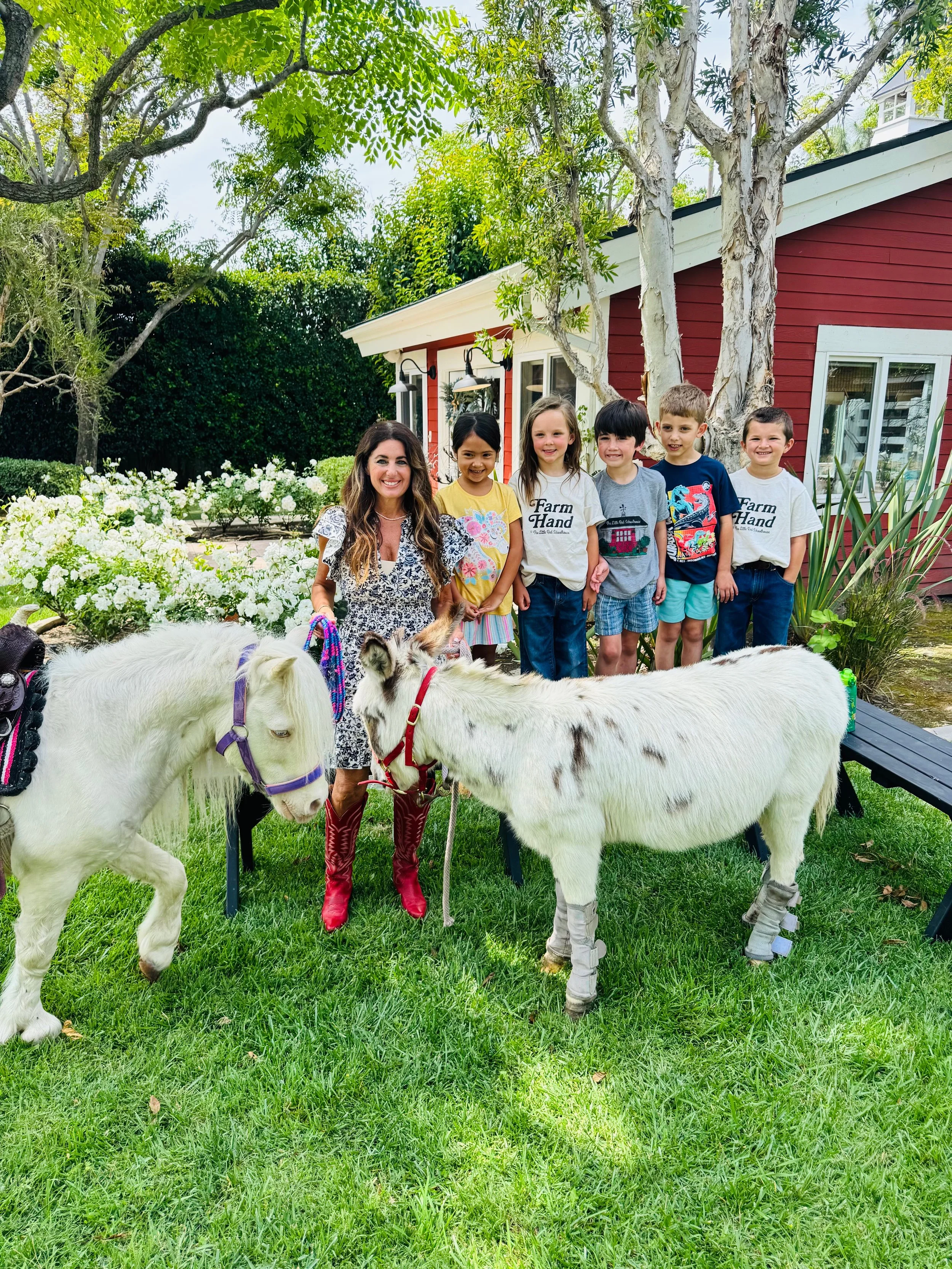 Donkey and Pony Visit  