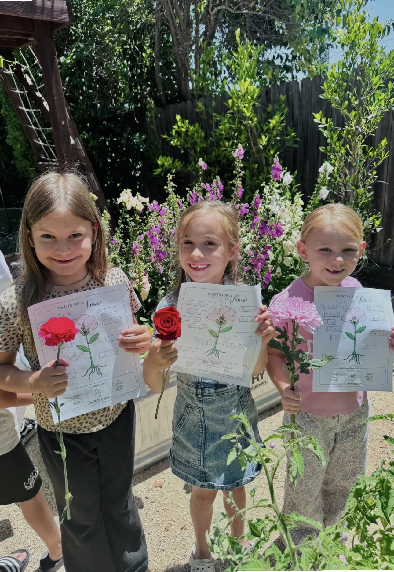 The Neuroscience of Flowers 