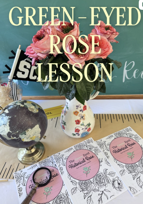 The Green-Eyed Garden Rose 