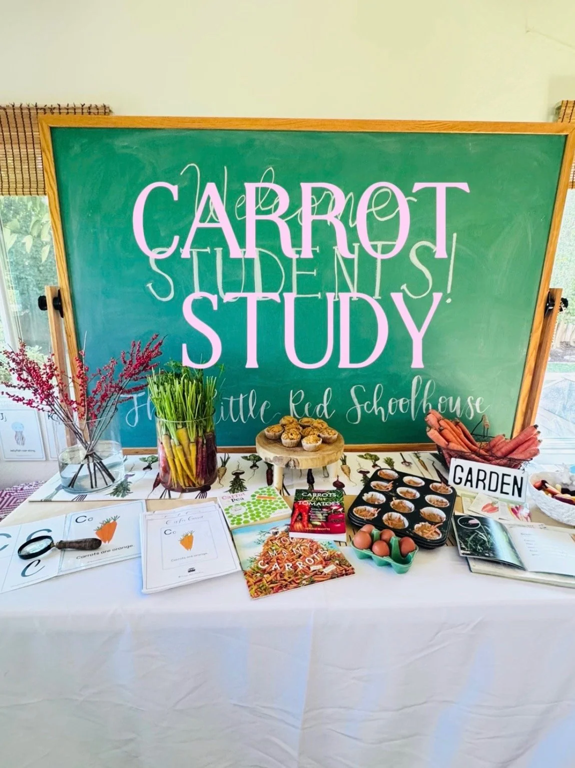 Carrot Study 