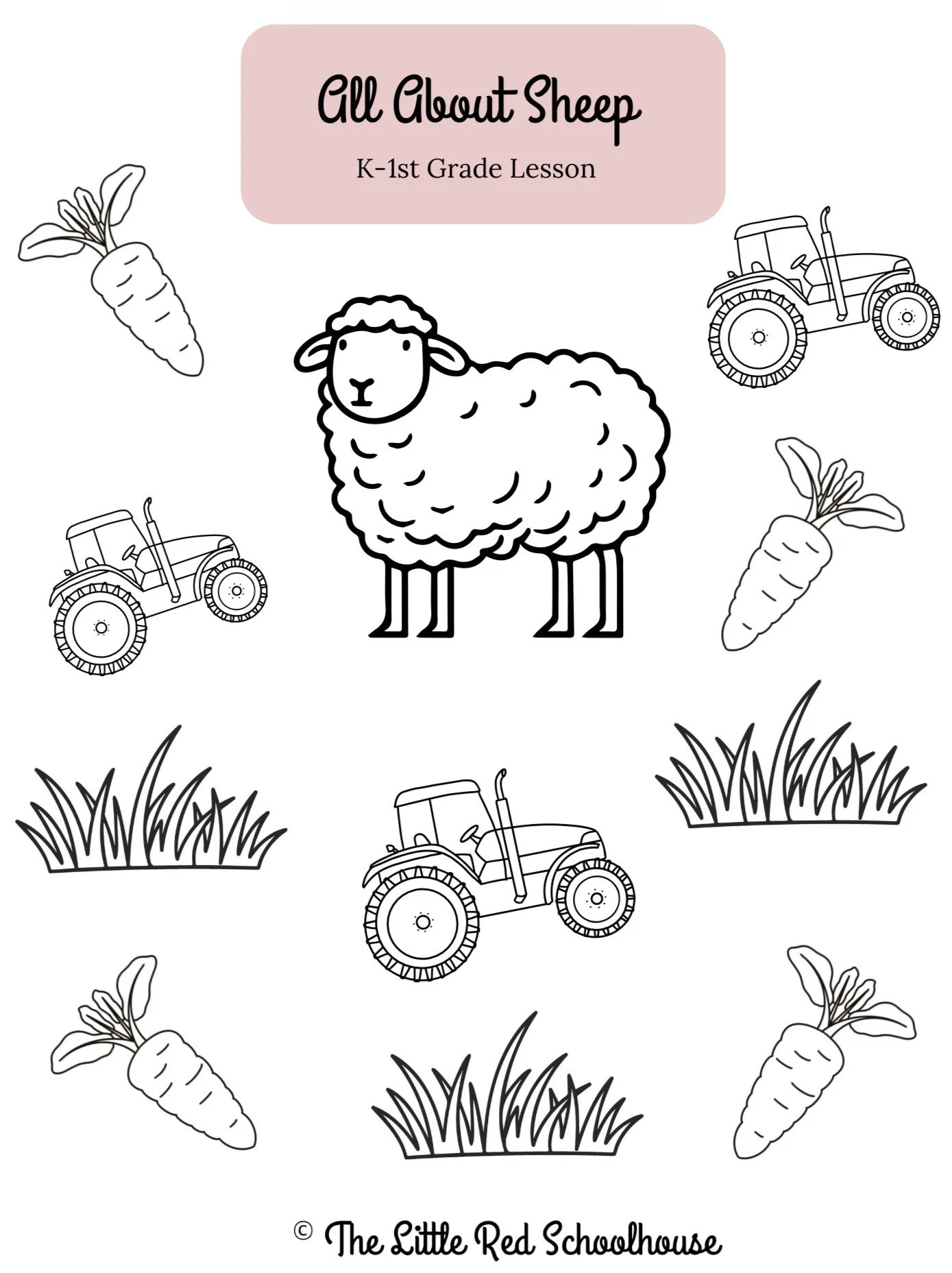 All About Sheep - K-1st Grade Lesson