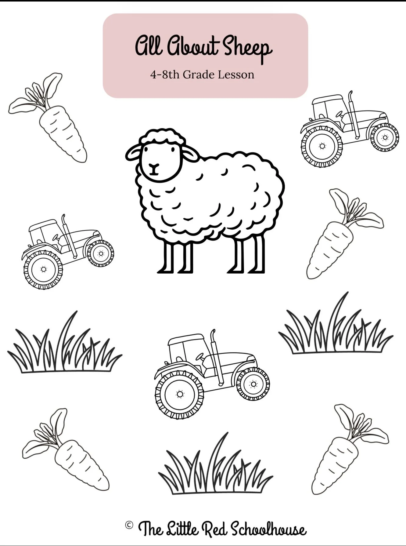 All About Sheep - 4th-8th Grade Lesson