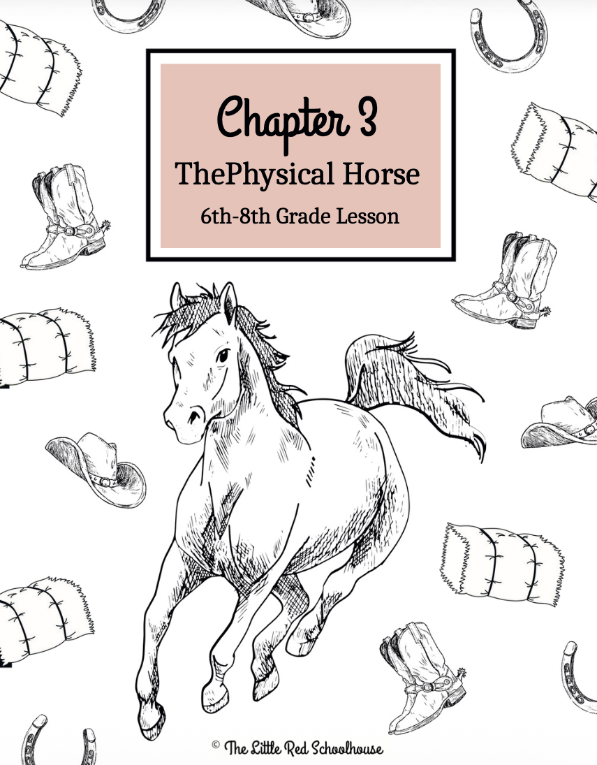 Horse Study Journal- Chapter 3: 6th-8th Grade