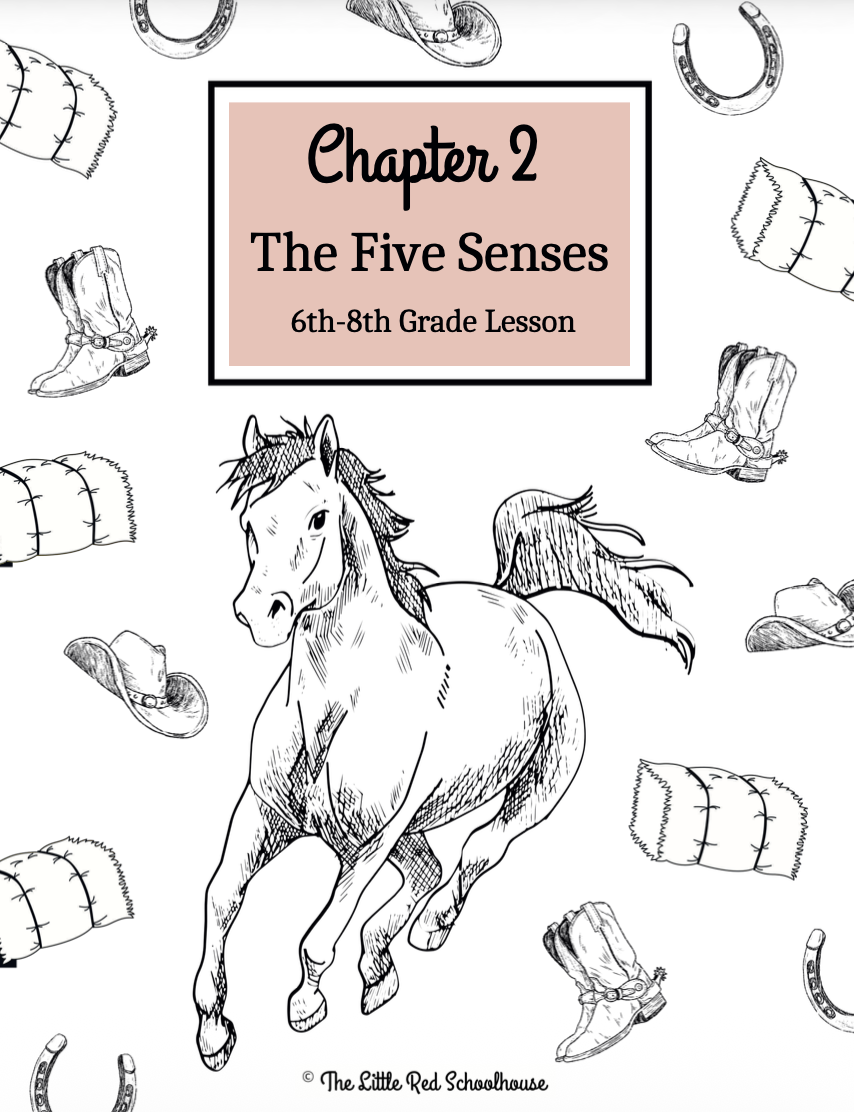 Horse Study Journal- Chapter 2: 6th-8th Grade