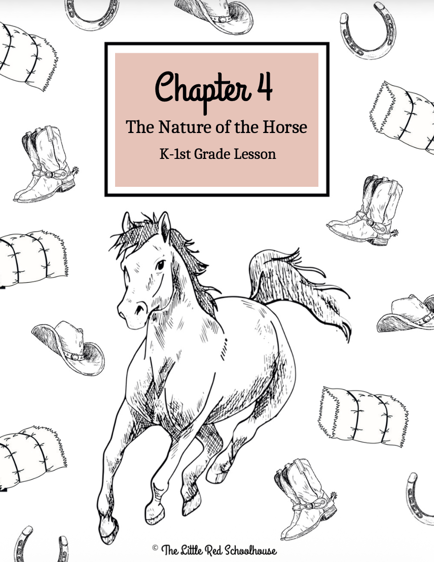 Horse Study Journal- Chapter 4: K-1st Grade