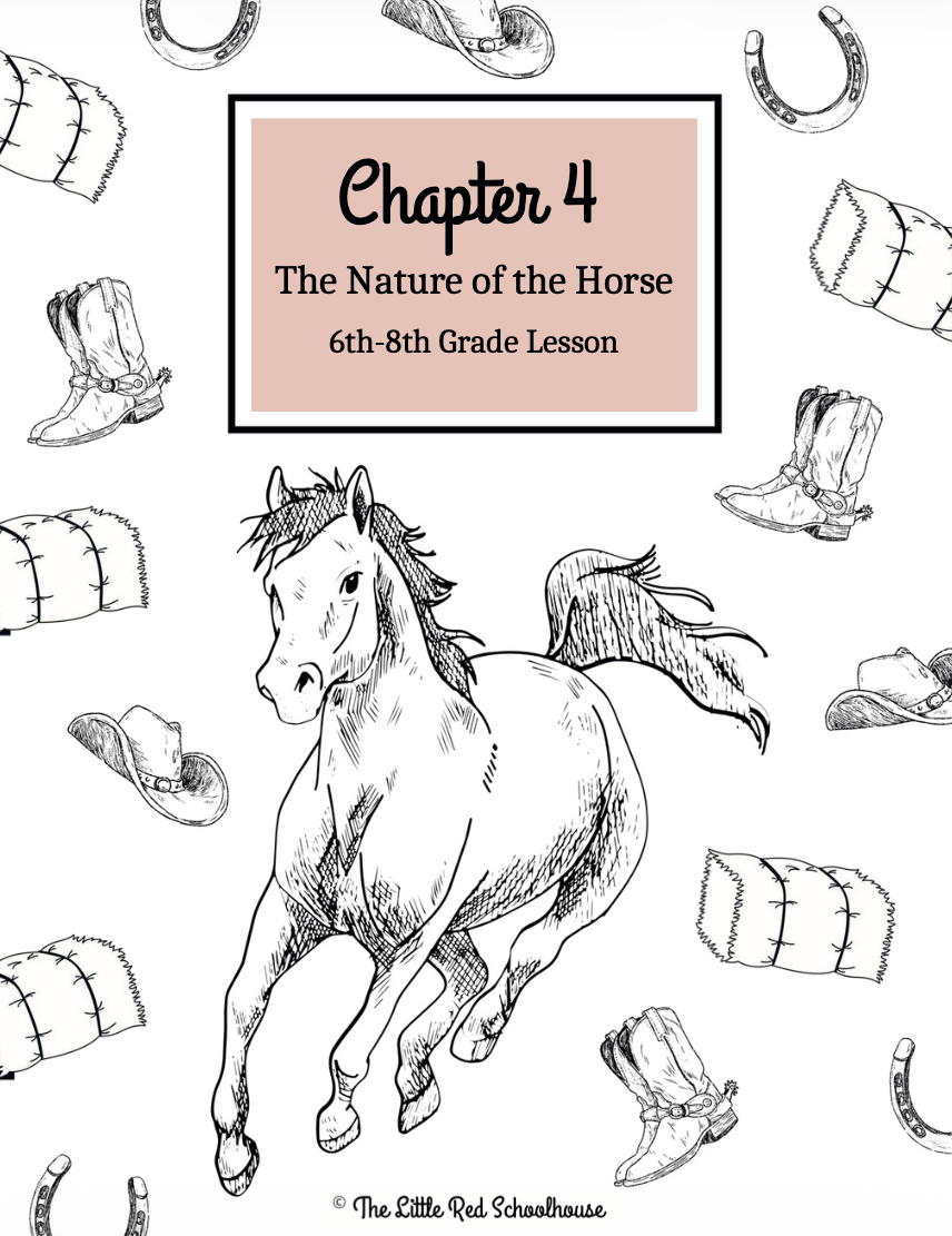 Horse Study Journal- Chapter 4: 6th-8th Grade