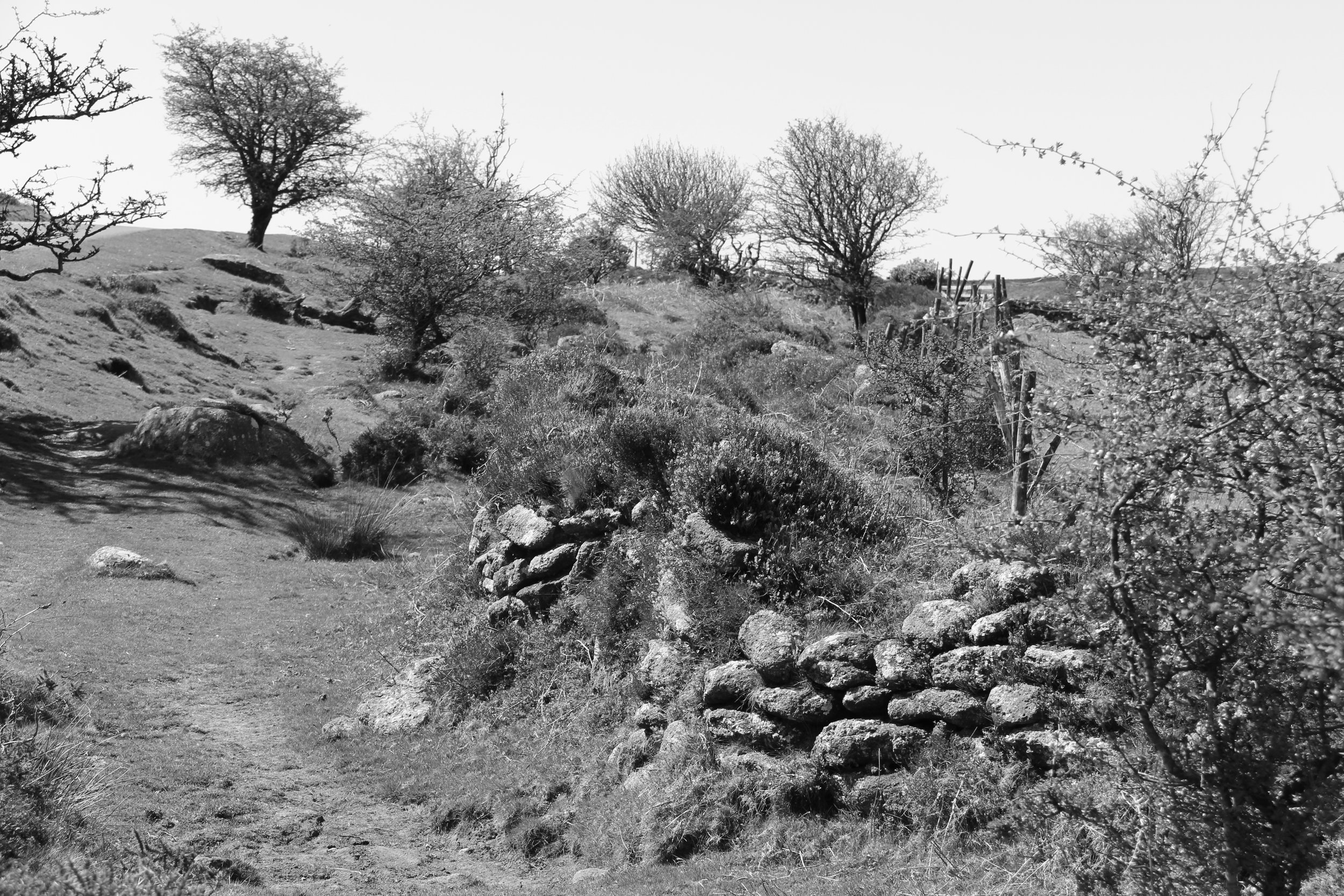 Dartmoor