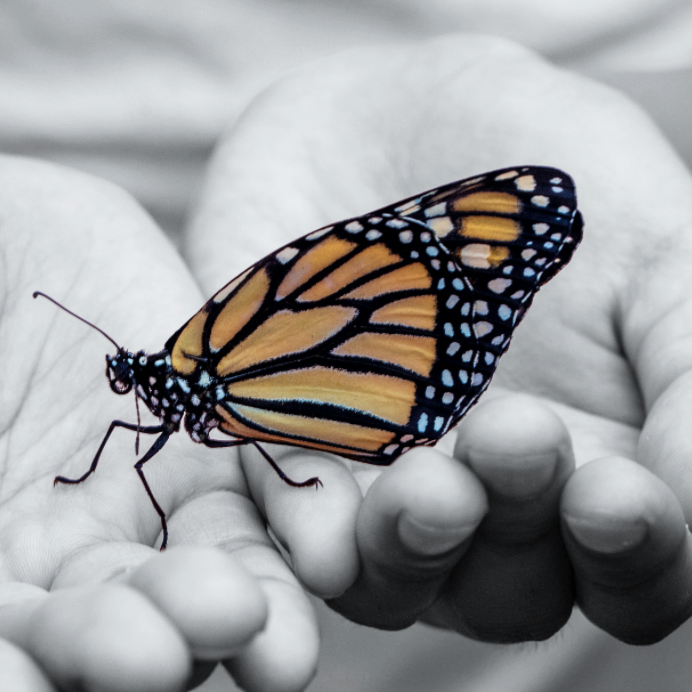 Mindful Self-Compassion training, April 2- May 21st, w Dr. Jorge Armesto & Courtney Mace