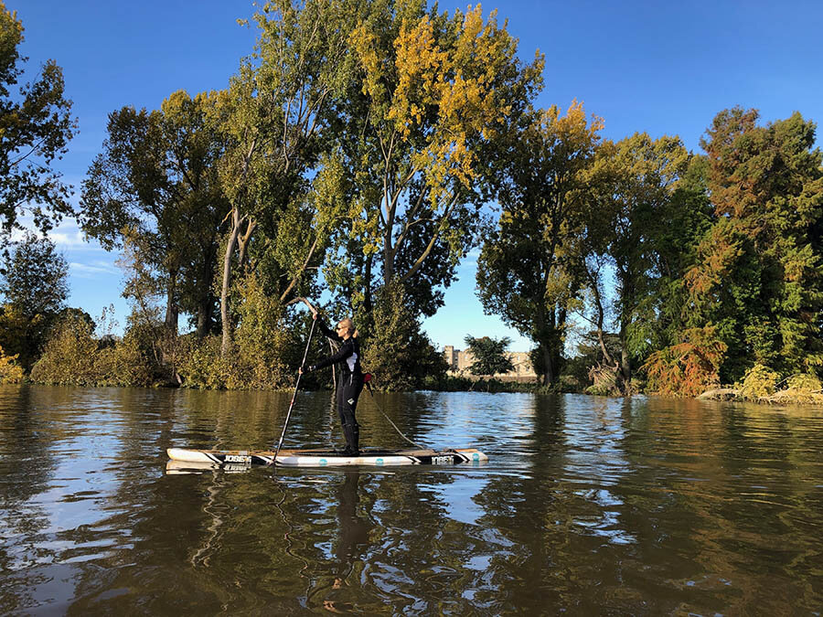 Thames_natural_history_Active360_SUP.jpg