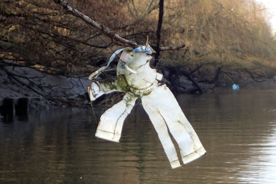 plastic_cup_in_trees_Thames.jpg