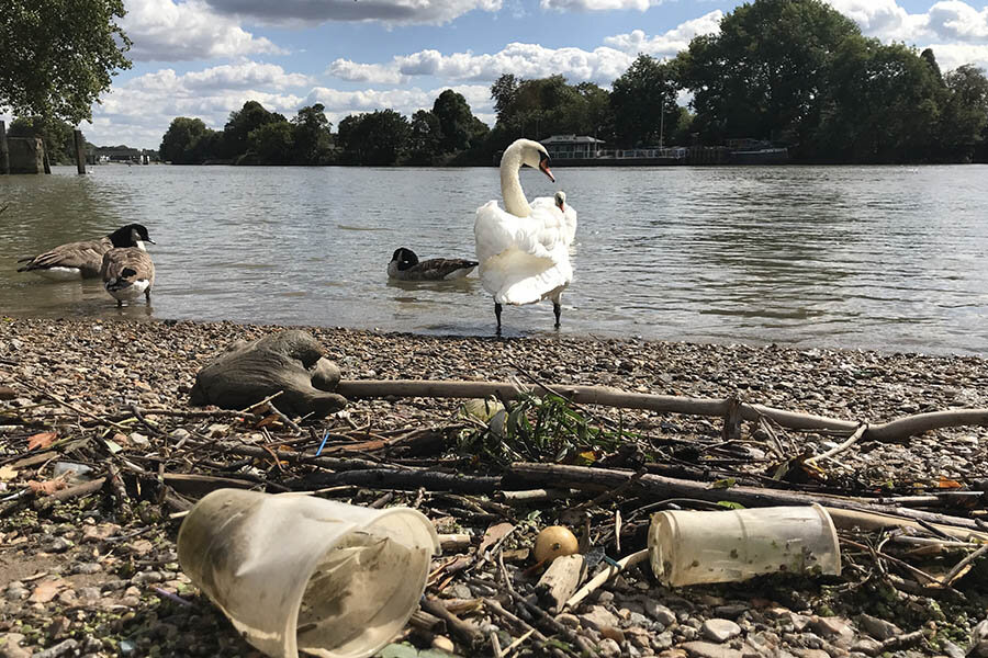 plastic_river_pollution_swans.jpg