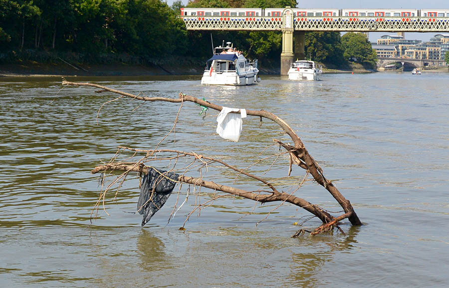 plastic_trees_pollution_Thames.jpg
