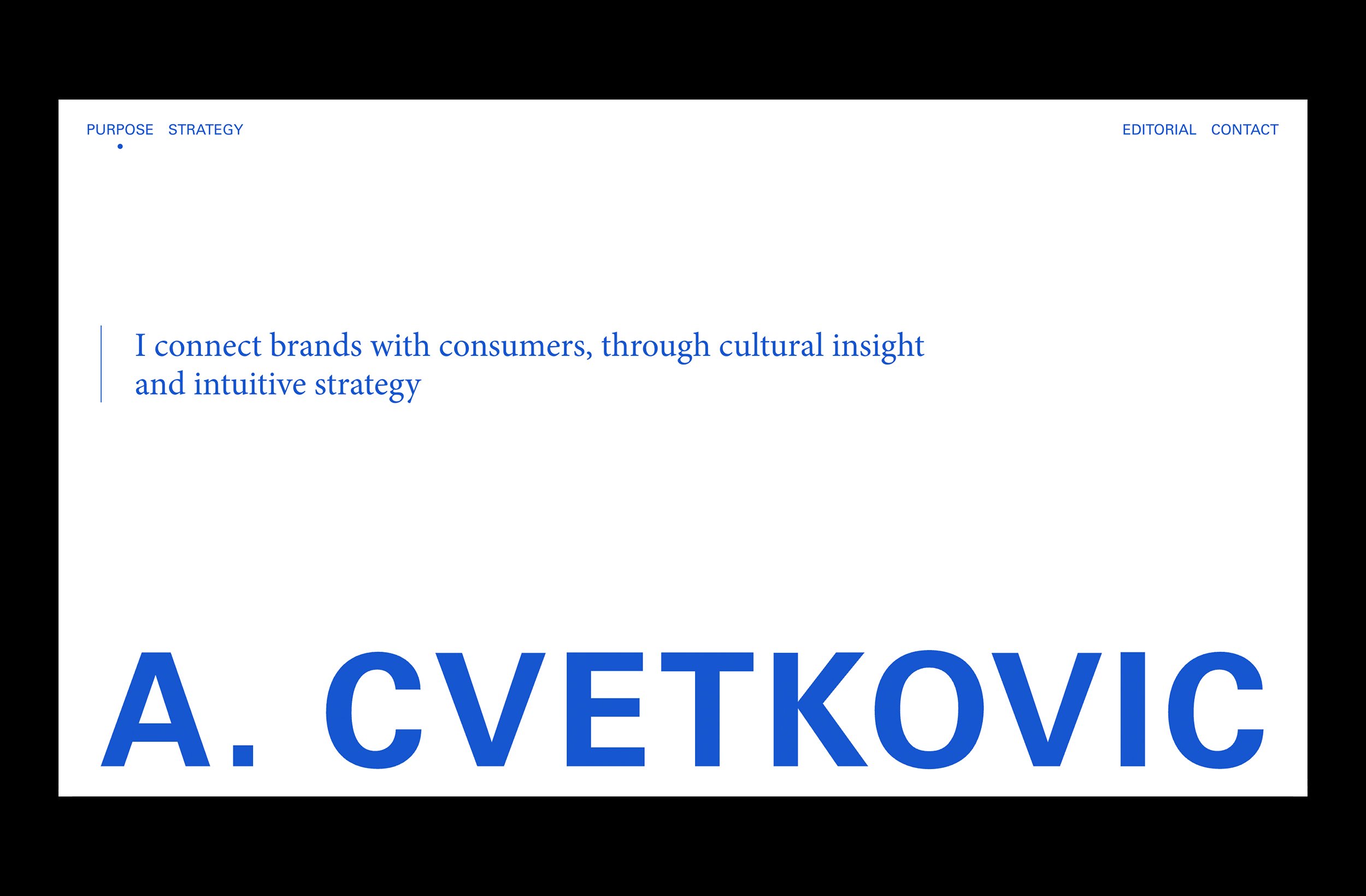 Aleks_Web_Mock_Up_1.jpg