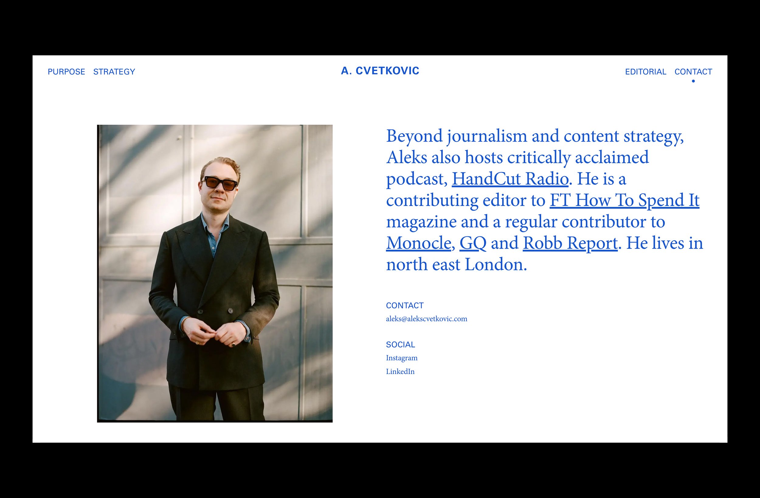 Aleks_Web_Mock_Up_3.jpg