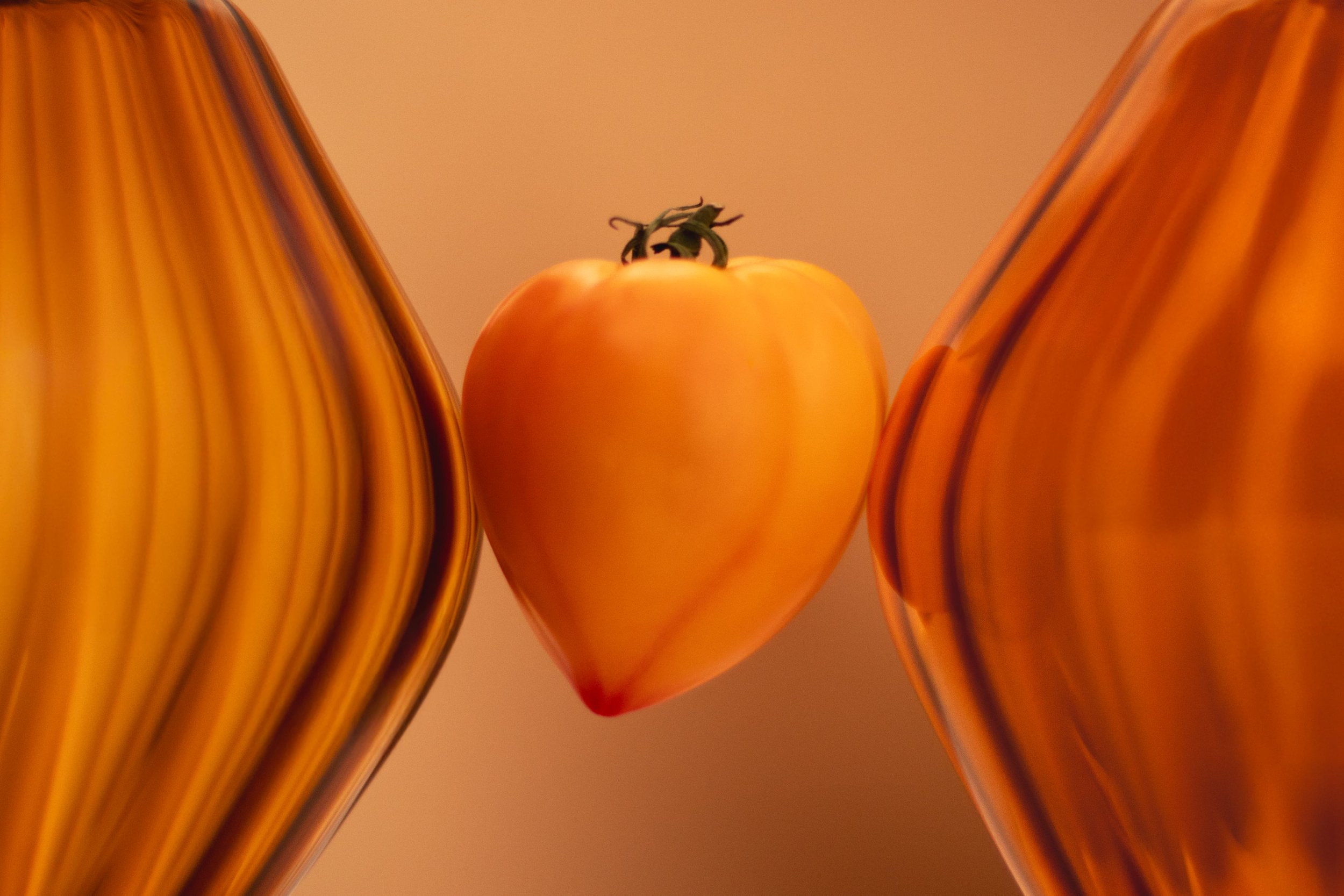 Hard & Soft Still Life