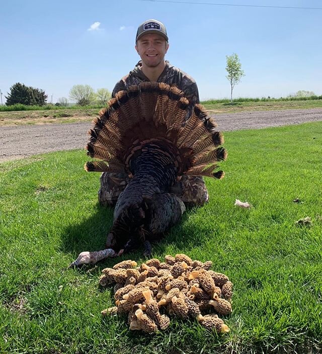 @gavin.ritchie got in on the action this morning with this tom! Even found a pile of mushrooms to sweeten the deal. Good work, Gavin! #turkeyhunting #guidedhunts #bigbirddown #turkeyseason #uplandhunting