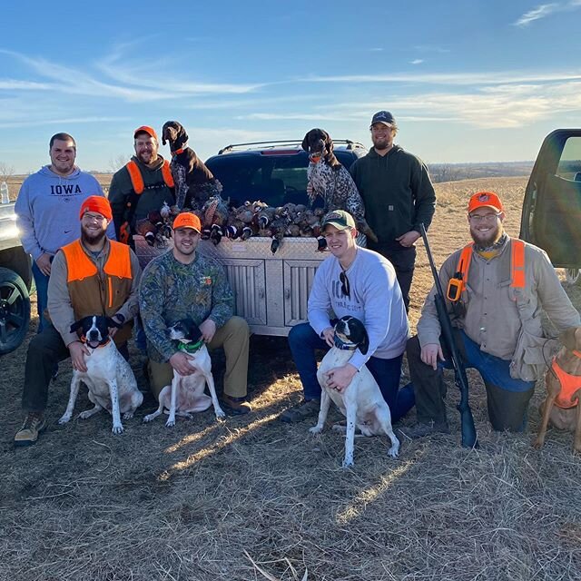 It was good to have some Hawkeyes in the fields this weekend! Thanks for your support @conorboffeli! 
#iowahunting #iowapheasanthunting #pheasanthunting #pheasant #lodge #uplandhunting #birdhunting #birddog  #gsphuntingdogs #vislahunting #hawkeyes