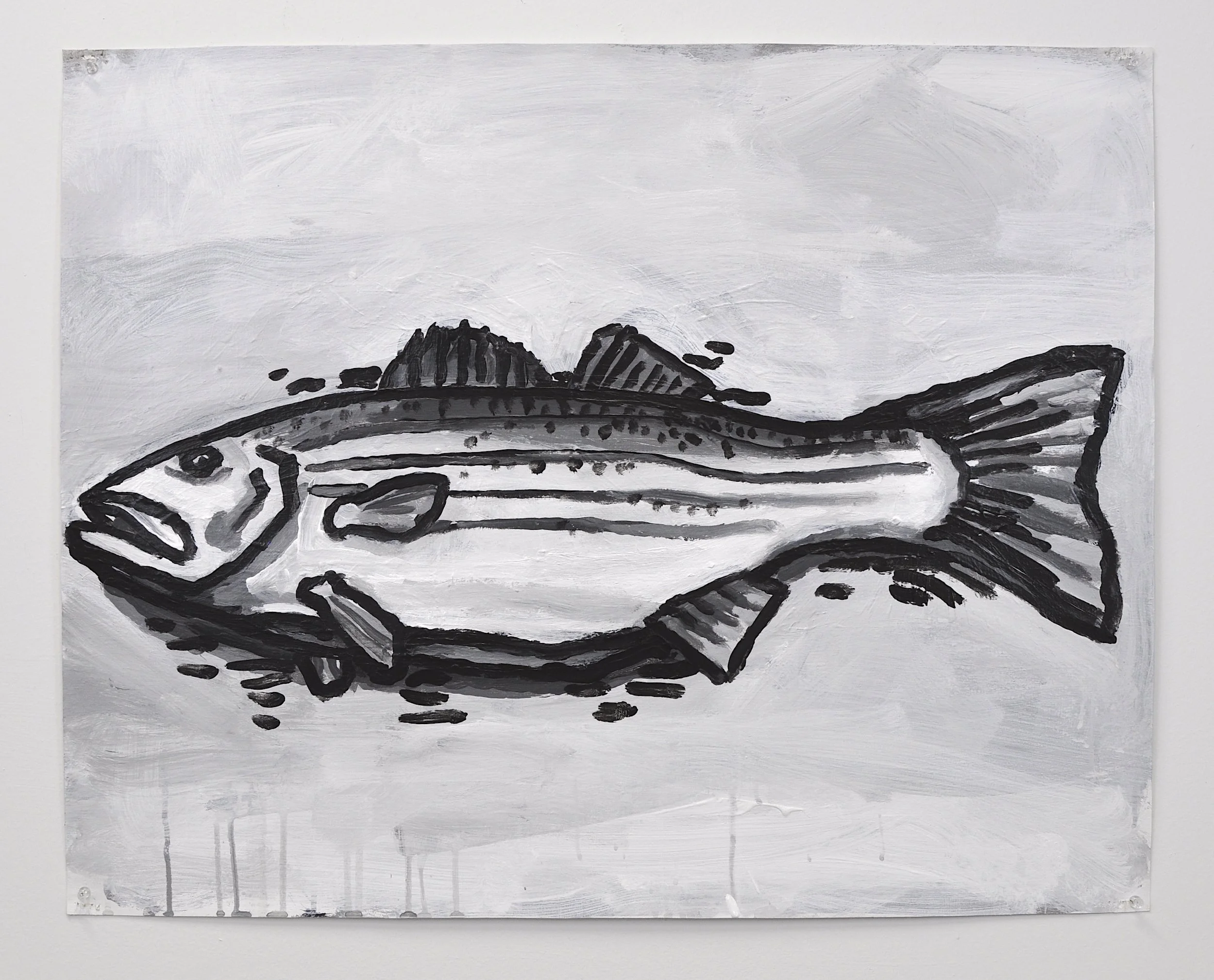 “Striped Bass (Food)", Acrylic on paper, 2025, 22” x 30"