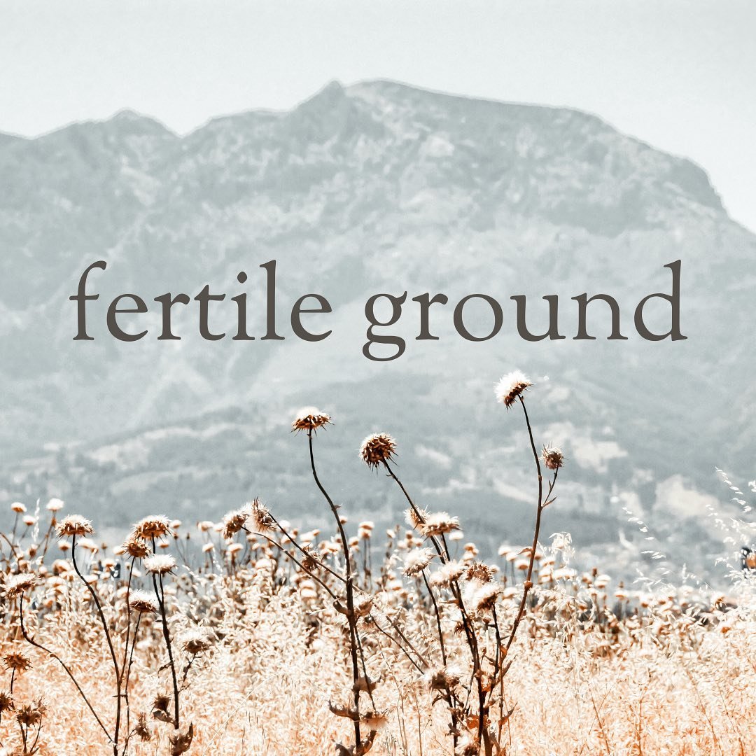 Fertile ground

I have this written on the white board in my apartment and every time I come up against an obstacle or a challenging situation, I remind myself that it is fertile ground.  It is an opportunity for growth. To learn. To expand. 

As a w