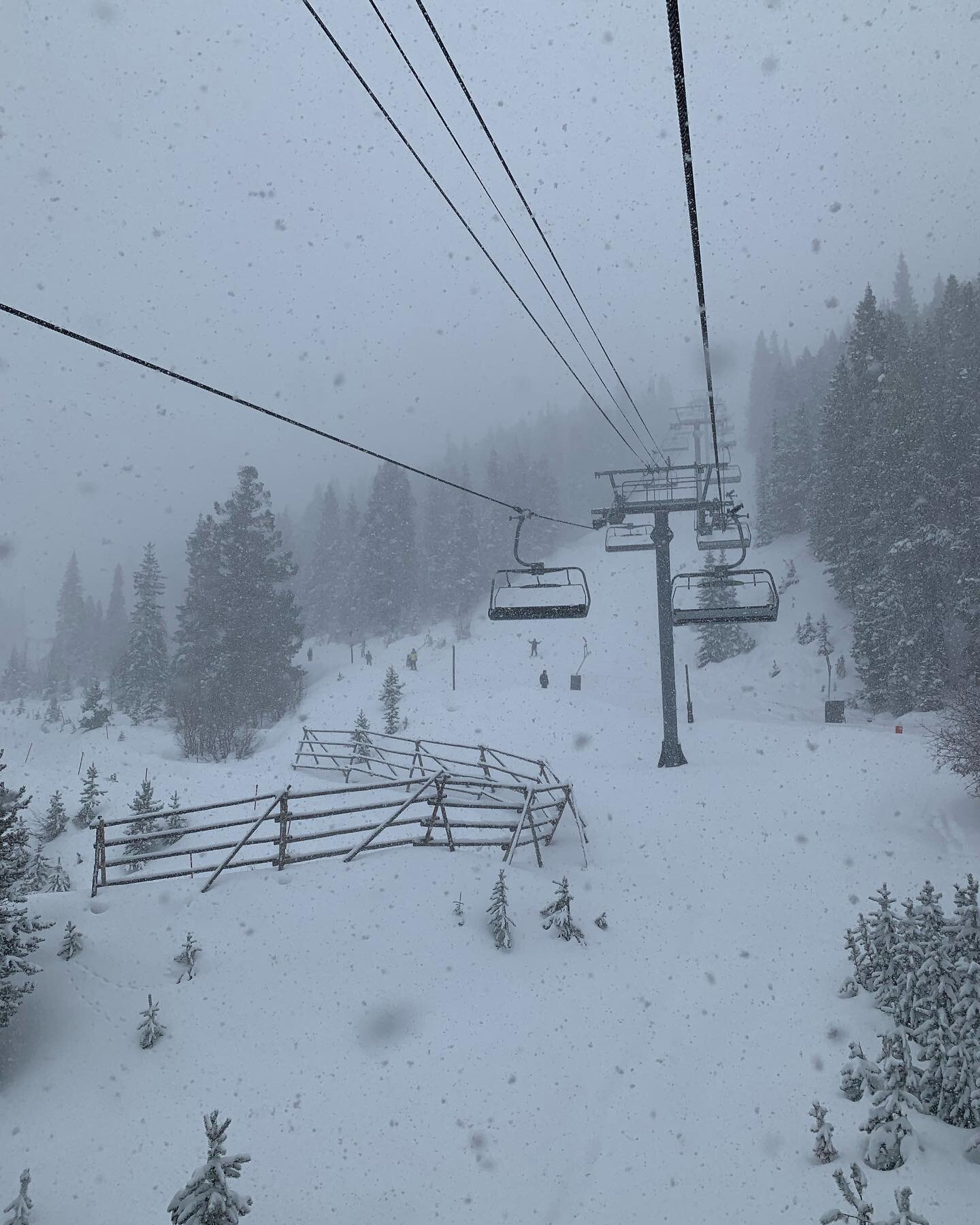 Quite the change from yesterday. Cold and snowy. Dumping all afternoon which made for the first powder turns of the season. Let it snow, let it snow, let it snow! Side note:  the roads were nasty. Be careful out there. #powder #vail #snow #transporta