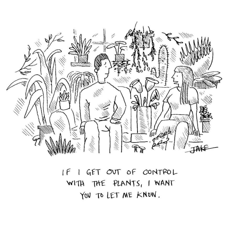 Okay folks, raise your hands--this is biographical for most of you. Comment with the highest-maintenance plant currently in your living room.
.
.
.
.
.
.
#plants #plantsofinstagram #plantmom #plantdad #plantparenthood #plant #houseplants #millennials