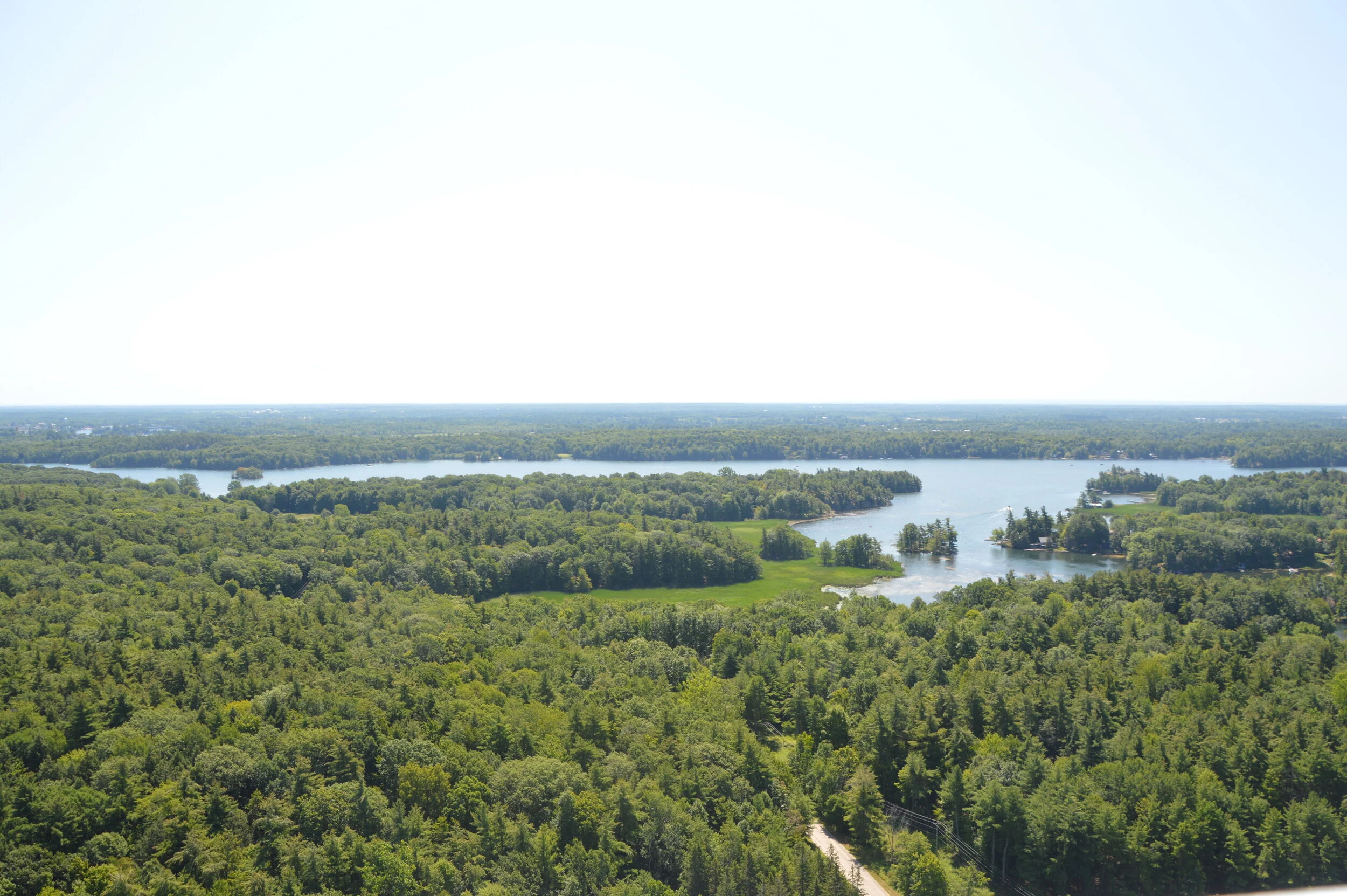 DSC_0471.JPG