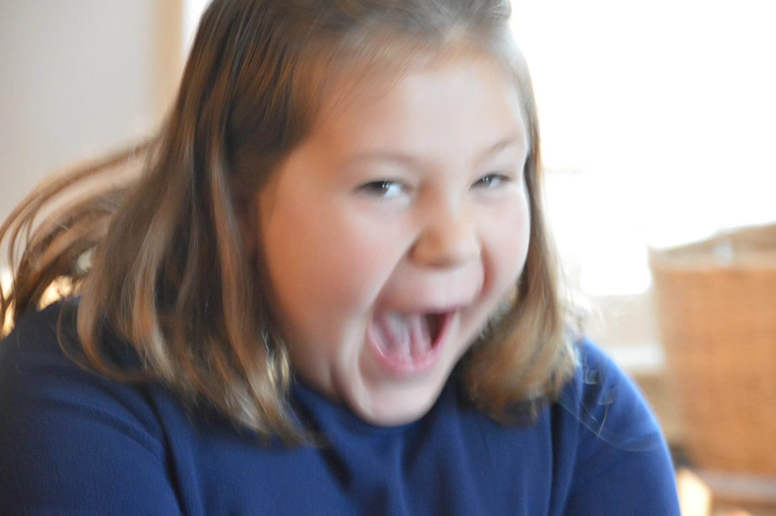 DSC_0038.JPG