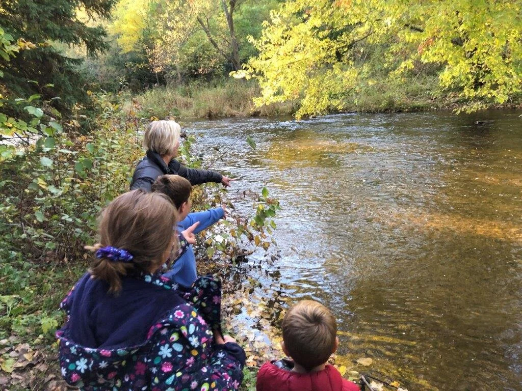 Salmon Run in Dundas Creek