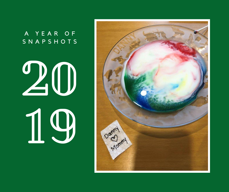 Snapshots of 2019