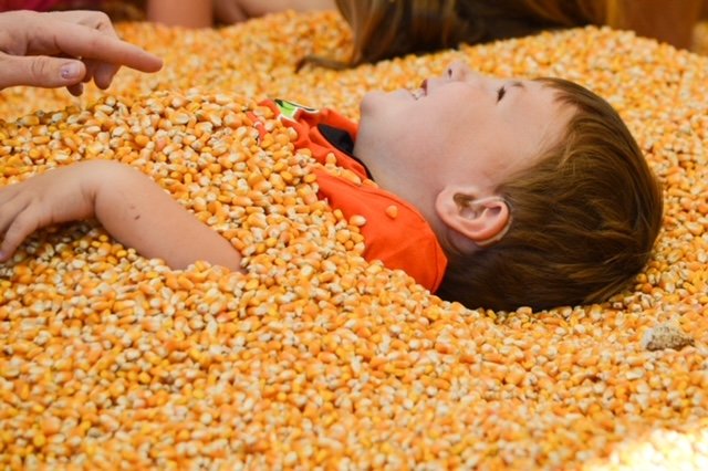  I was so nervous about Jack’s hearing aids this day! Totally torn between the fear of losing them in the corn, and letting him experience the auditory aspect of this sensory play. 