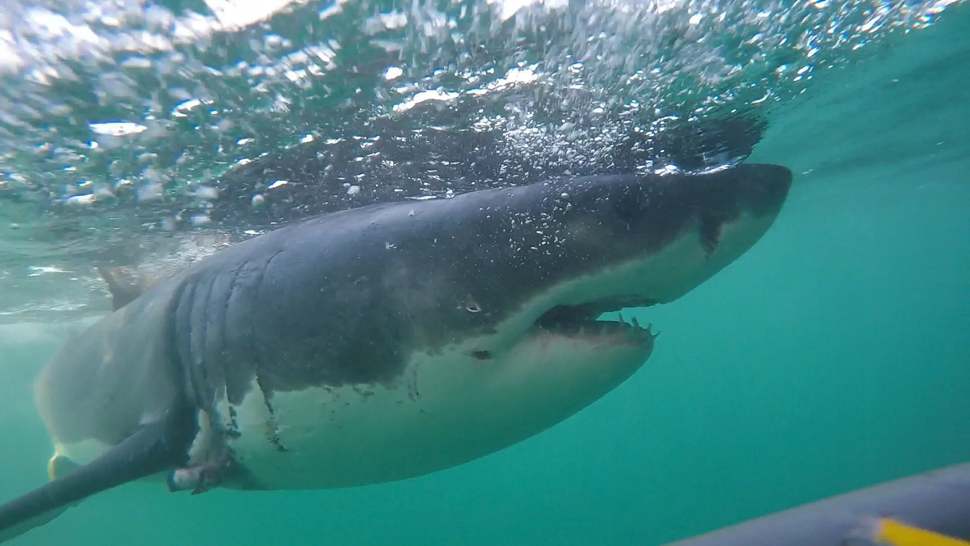 2016-08-03 00.24.02.jpg