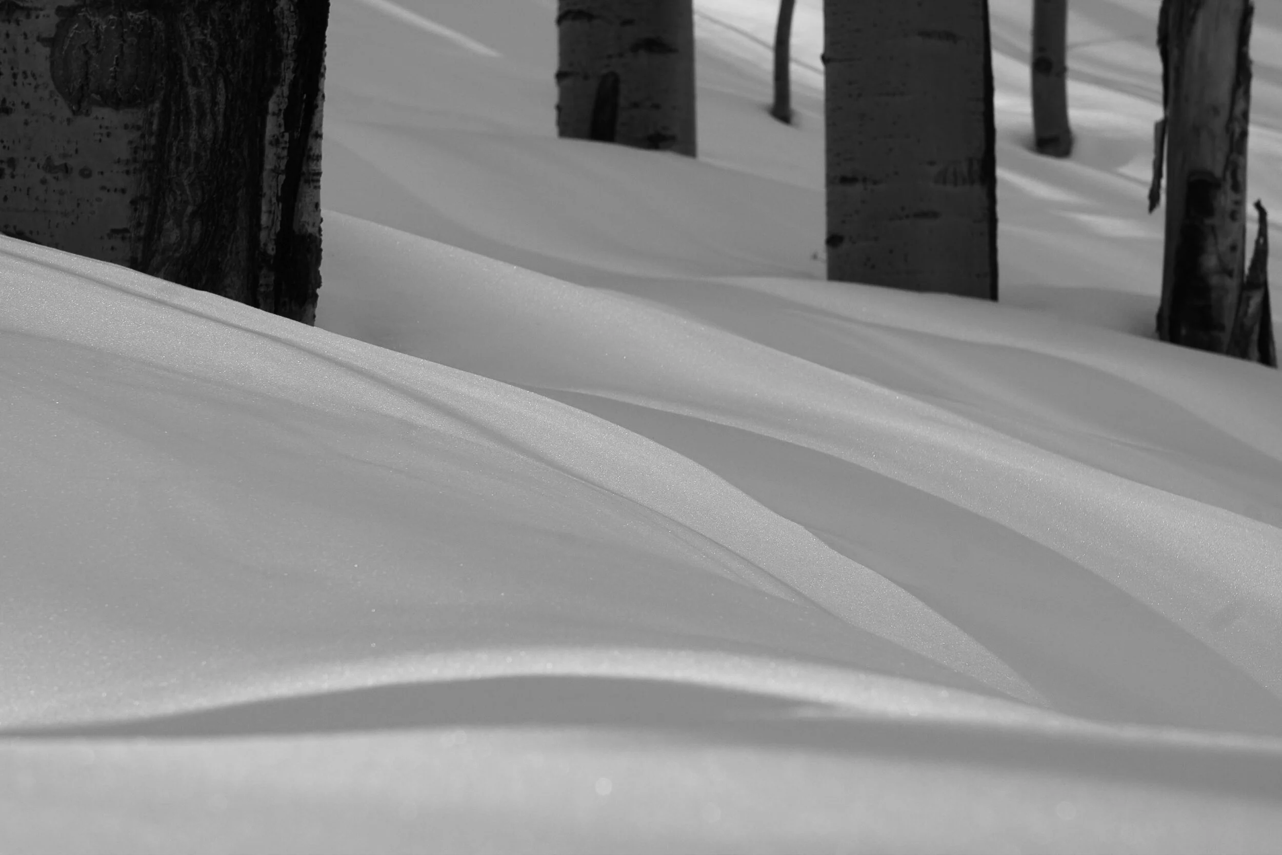 Scale Down: Ice, Water, & Snow