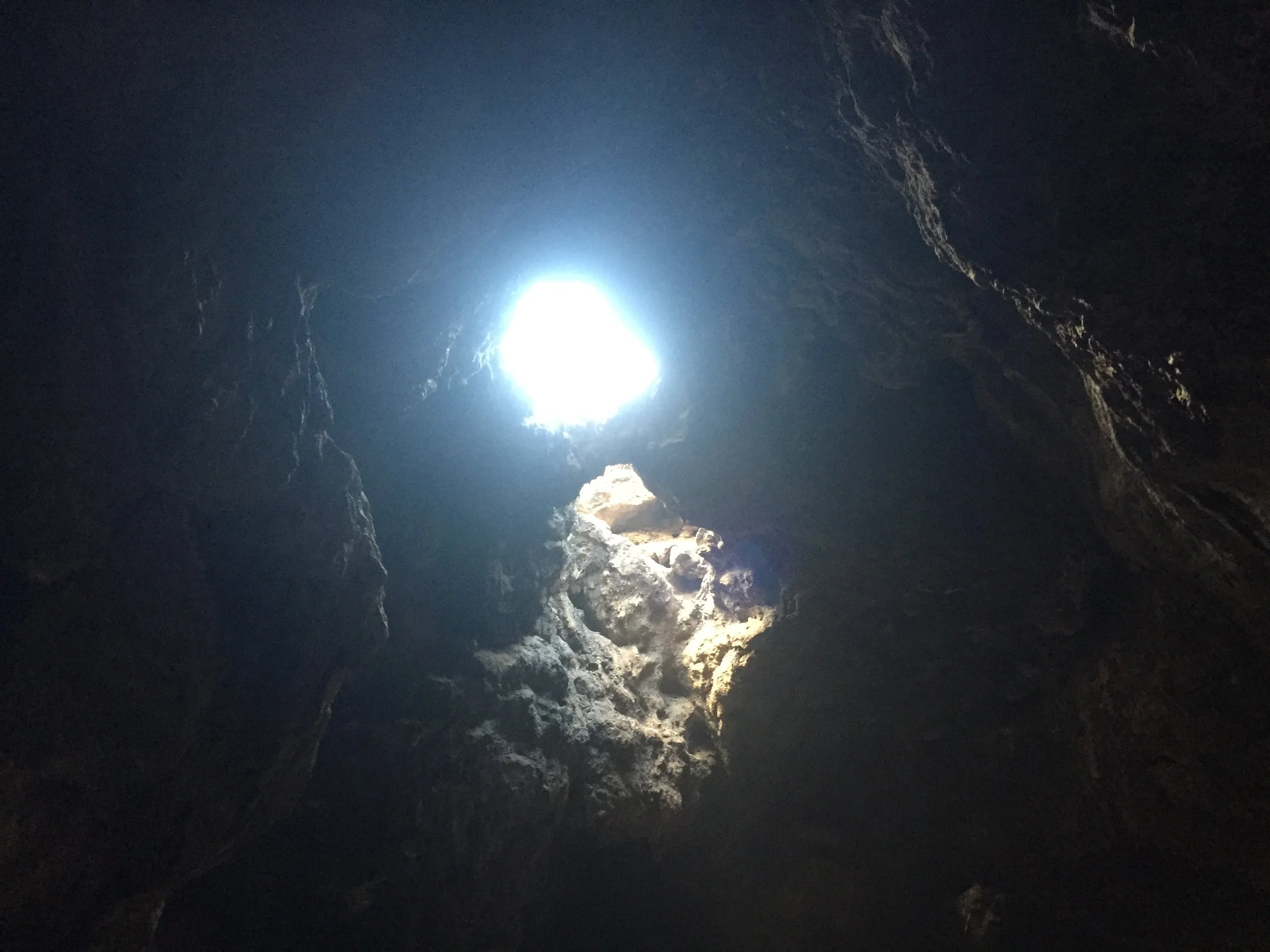 In a folder called “Dreams”